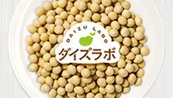 Daizu Labo
