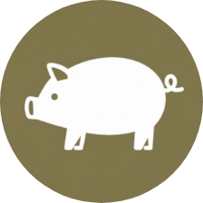 Pork